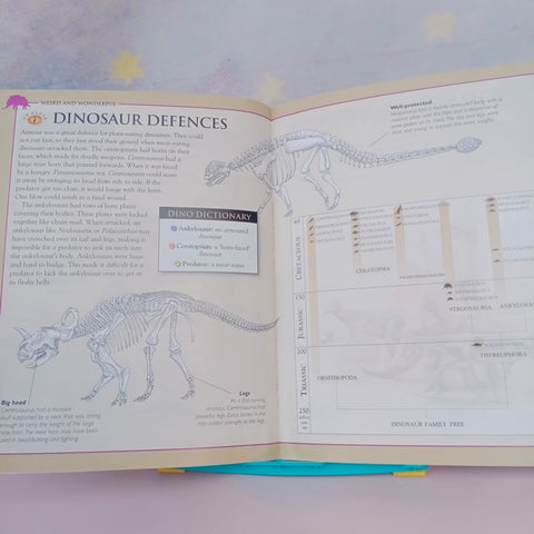 Discovering Dinosauer Weird And Wondereul - BKLT41030