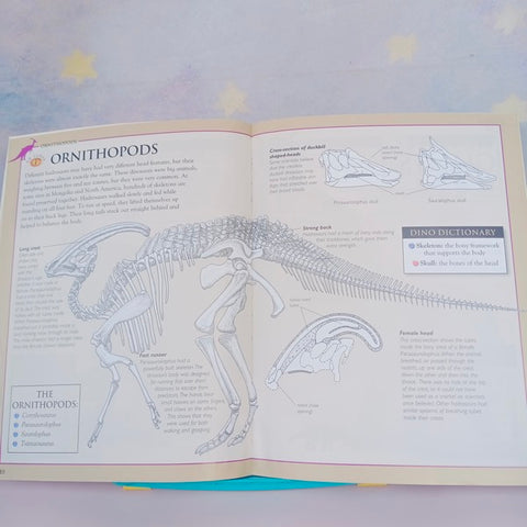 Discovering Dinosauer Weird And Wondereul - BKLT41030