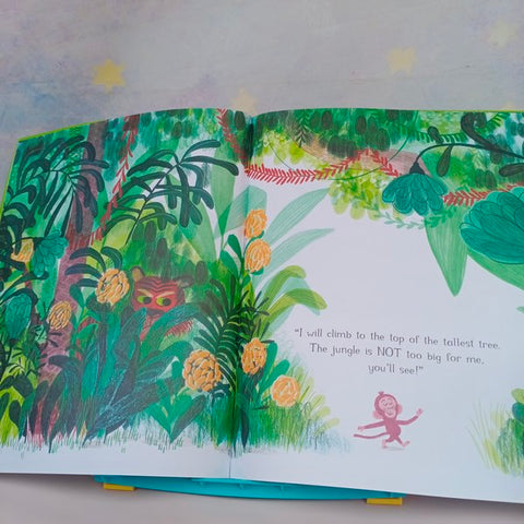 Little Monkey - BKLT41041