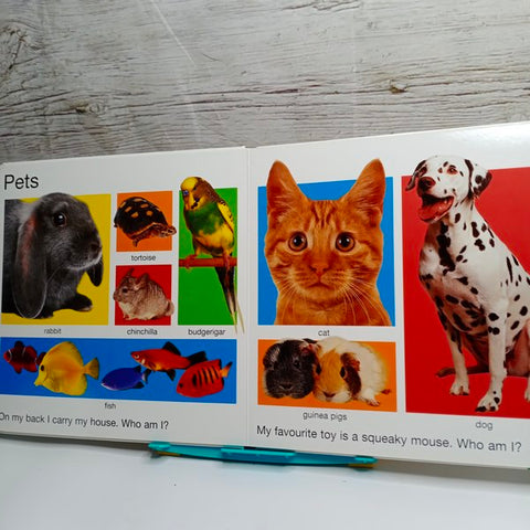 Hide And Seek Pig - BKLT41162