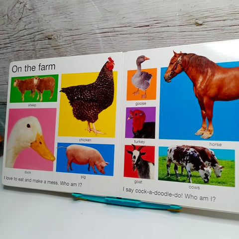 Hide And Seek Pig - BKLT41162