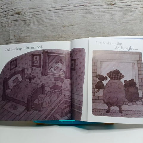 Sam Sheep Cant Sleep - BKLT41233