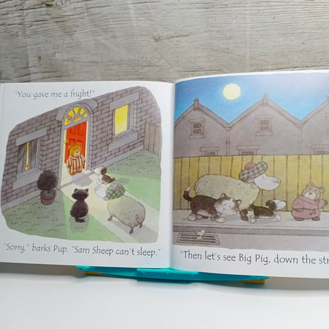 Sam Sheep Cant Sleep - BKLT41233