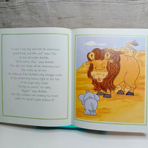 Tiny Big Wish - BKLT41245