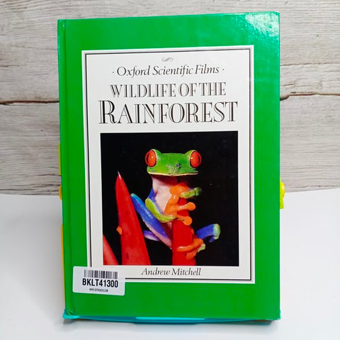 Wildlife Of The Rain Forest - BKLT41300