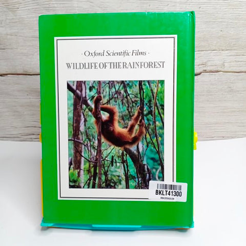 Wildlife Of The Rain Forest - BKLT41300