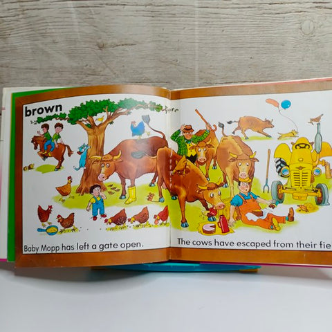 The Colors Book - BKLT41301