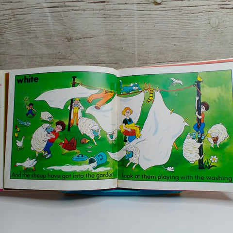 The Colors Book - BKLT41301