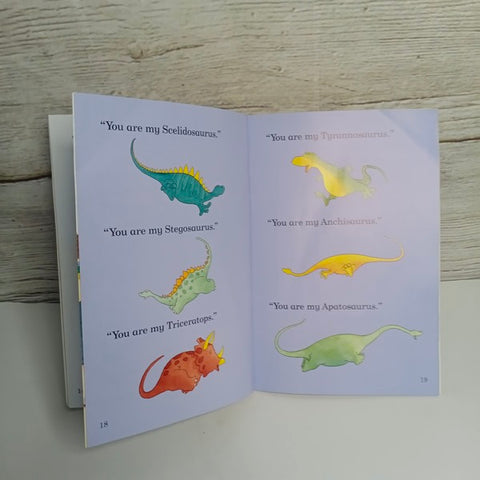 Harry And The Buketful Of Dinosurs - BKLT41439