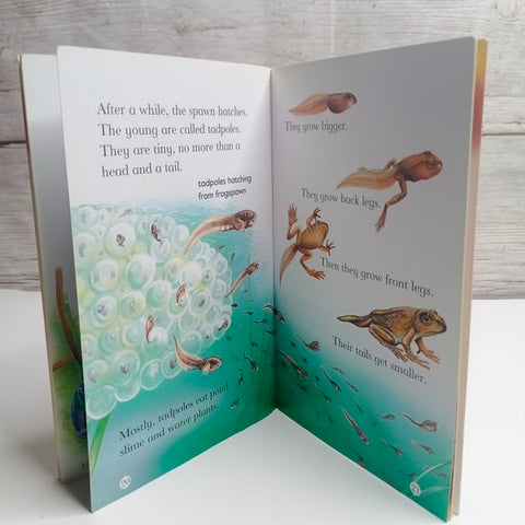 Oxford Wild Reads - BKLT41499