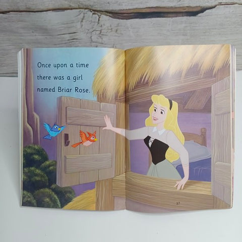 Princess Dreams - BKLT41514