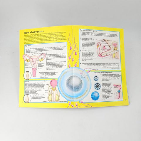 Facts Of Life - BKLT41725