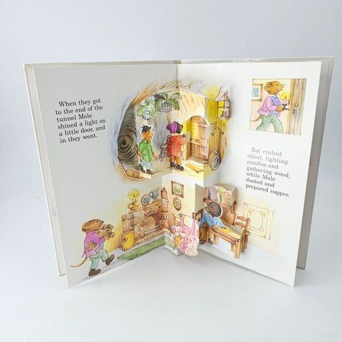 The Wind In The Willows - BKLT41798
