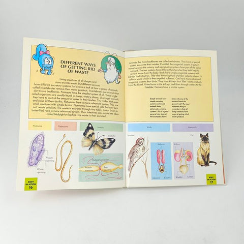 My Body Works - BKLT41825