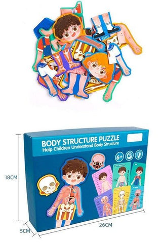 Extrokids Wooden Boy Body Structure jigsaw puzzle For Cognitive Safety Educational Toys - EKT1493