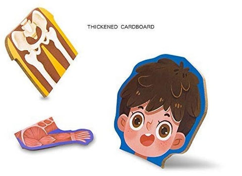 Extrokids Wooden Boy Body Structure jigsaw puzzle For Cognitive Safety Educational Toys - EKT1493