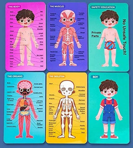 Extrokids Wooden Boy Body Structure jigsaw puzzle For Cognitive Safety Educational Toys - EKT1493