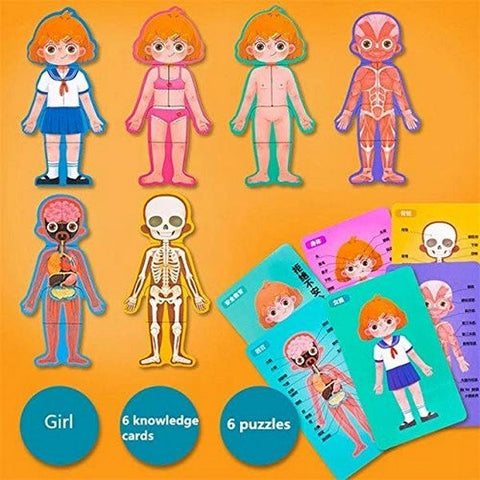 Human Body Structure/Parts Puzzle Toy Set for Kids and Toddlers- Girls - EKT1494