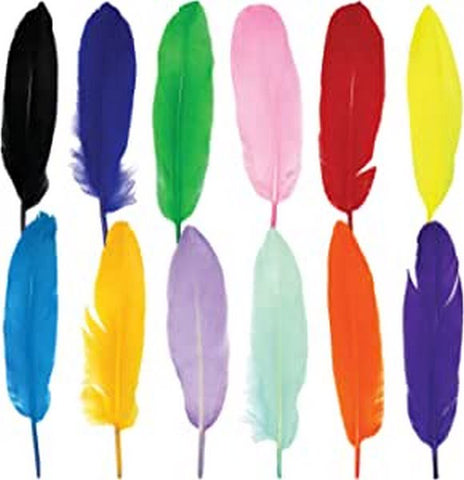 Feather Hard - Big - Multi Color - 10 pc random color will be shipped - EKC2013