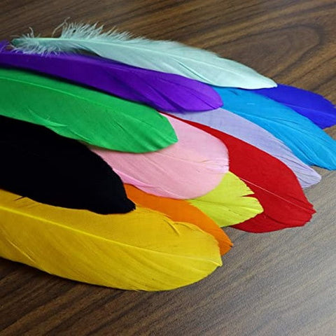 Feather Hard - Big - Multi Color - 10 pc random color will be shipped - EKC2013