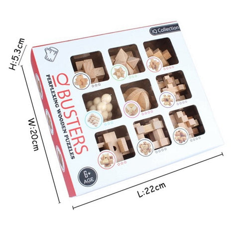 Extrokids Wooden Perplexing IQ brain buster  9PCS/Set Intelligence 3D Wooden Brain  IQ Puzzle Toy - EKR0059