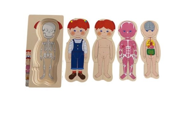 Extrokids Wooden Human Body Anatomy Educational Puzzle - Girl - EKT2013