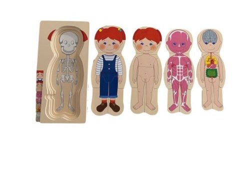 Extrokids Wooden Human Body Anatomy Educational Puzzle - Girl - EKT2013