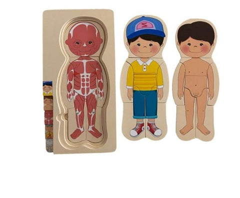 Extrokids  Wooden Human Body Anatomy Educational Puzzle - Boy  - EKT2014