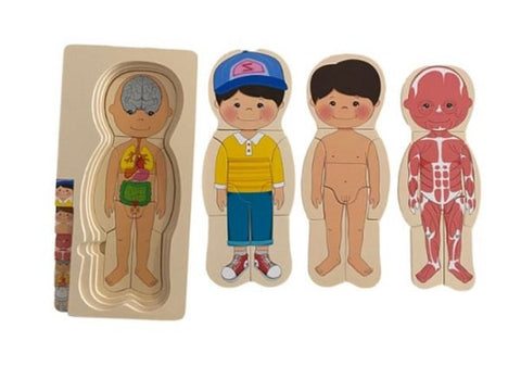 Extrokids  Wooden Human Body Anatomy Educational Puzzle - Boy  - EKT2014
