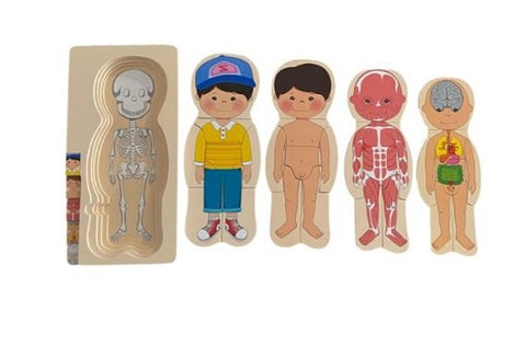 Extrokids  Wooden Human Body Anatomy Educational Puzzle - Boy  - EKT2014