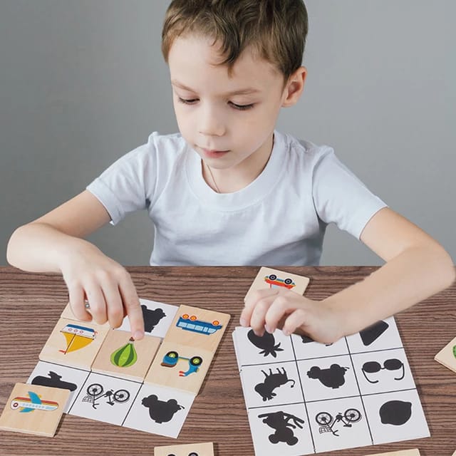 Wooden shadow matching puzzle game for cognitive developemnt - EKT2373