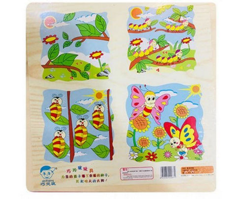 Wooden puzzle life cycle of Butterfly - EKT2567