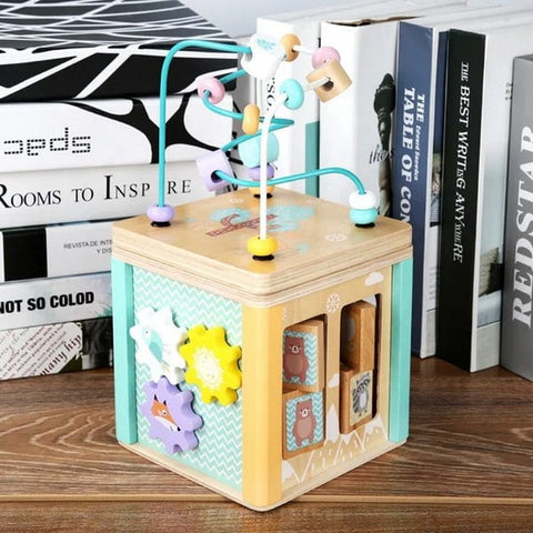 Ocean 5 in 1 activity cube - EKT2587