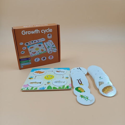 Growth cycle jigsaw puzzle - EKT2589