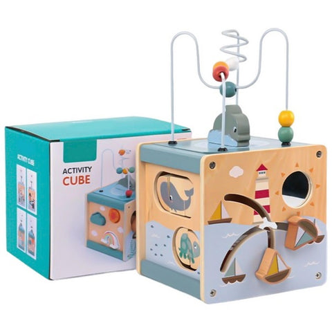 Activity Cube - EKT2696