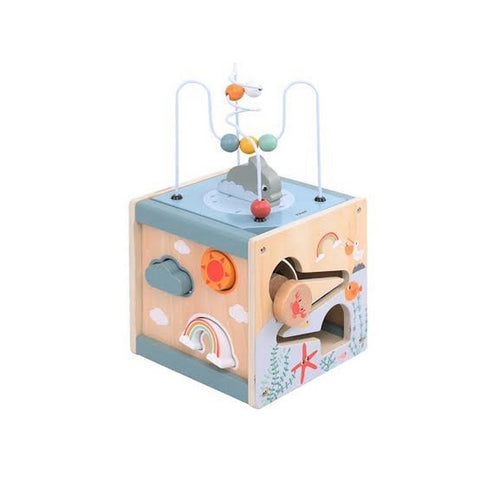 Activity Cube - EKT2696