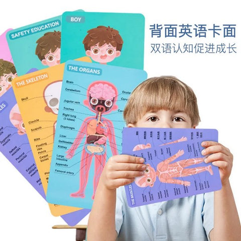 Magnatic Body Structure Buzzle - EKT2886