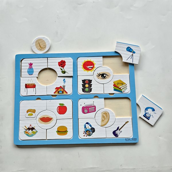 Wooden Matching Puzzle - Sense Organ - EKT3102