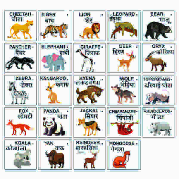 Extrokids Wooden Wild Animals Flash Card- Set of 24 Cards - EKW0001E