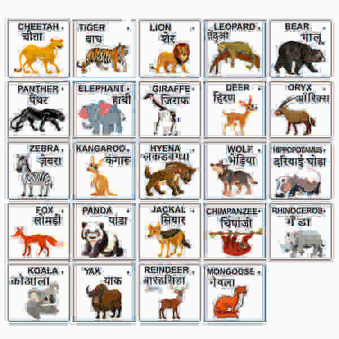 Extrokids Wooden Wild Animals Flash Card- Set of 24 Cards - EKW0001E