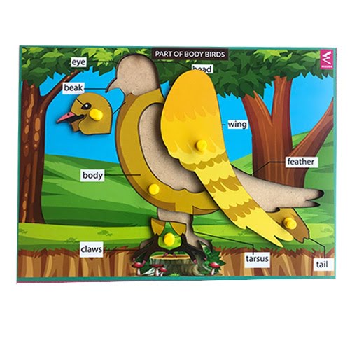 Extrokids Wooden Birds Parts Learning Puzzle - 12*9 inch - EKW0009