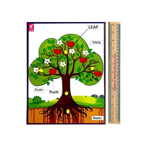Extrokids Wooden Tree Parts Learning Puzzle Peg Board - 12*9 inch - EKW0010