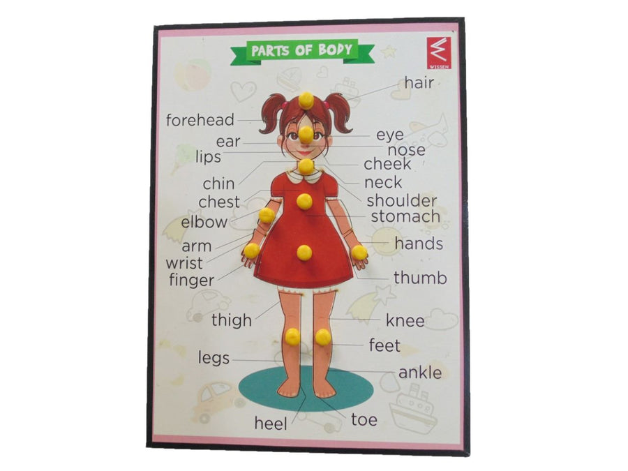 Wooden Parts of Body (Girl) Educational Knob Tray - EKW0098