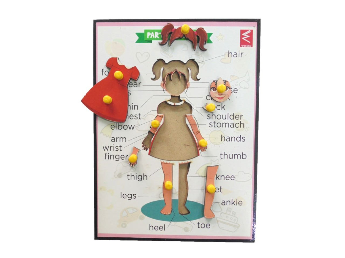 Wooden Parts of Body (Girl) Educational Knob Tray - EKW0098