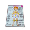 Wooden parts of Body Learning Knob Educational tray -Economy - EKW0102