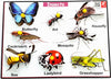 Wooden Insects Learning Educational Knob Tray - EKW0103