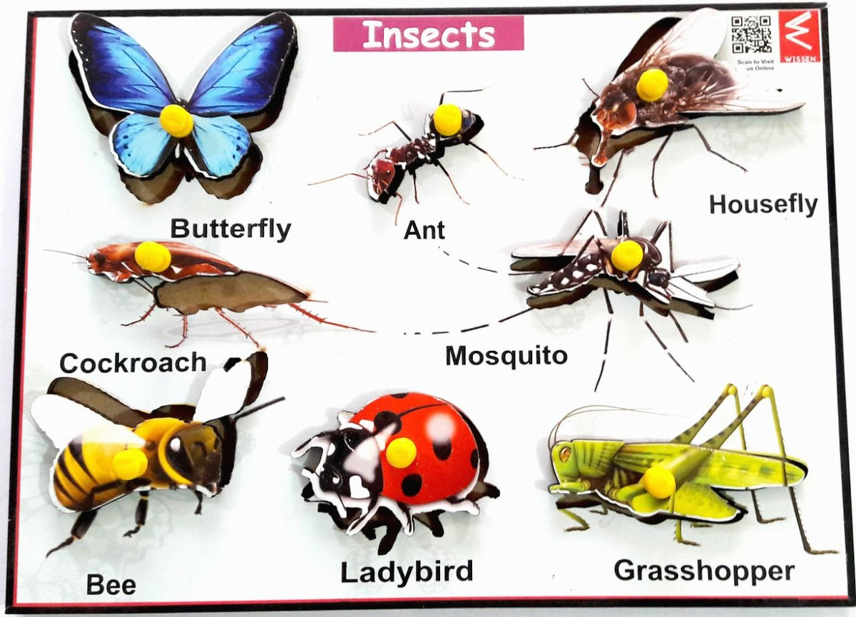 Wooden Insects Learning Educational Knob Tray - EKW0103