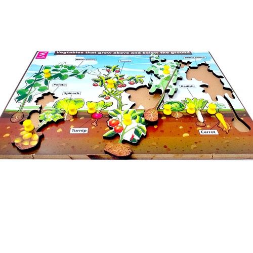 Vegetables that grow above and below the ground-12*9 iunch - EKW0109