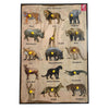 Wooden Wild Animals Educational Knob Tray-12*18 inch - EKW0127