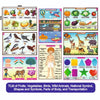 TLM Combo- Fruits, Vegetables, Animals, Birds, National Symbols, Shapes and Symbols Transportation, Parts of Body - EKW0145